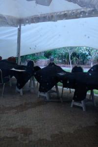 Poker : Conditions dantesques Conditions dantesques